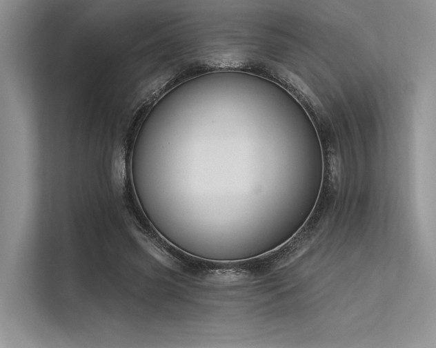 X0000113340541200909221125