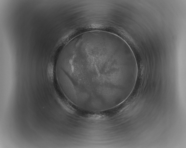 X0000113340542200909221125