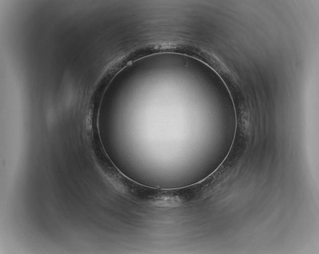 X0000113340543200909221125