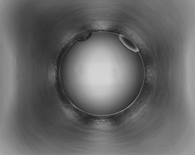 X0000113340544200909221125