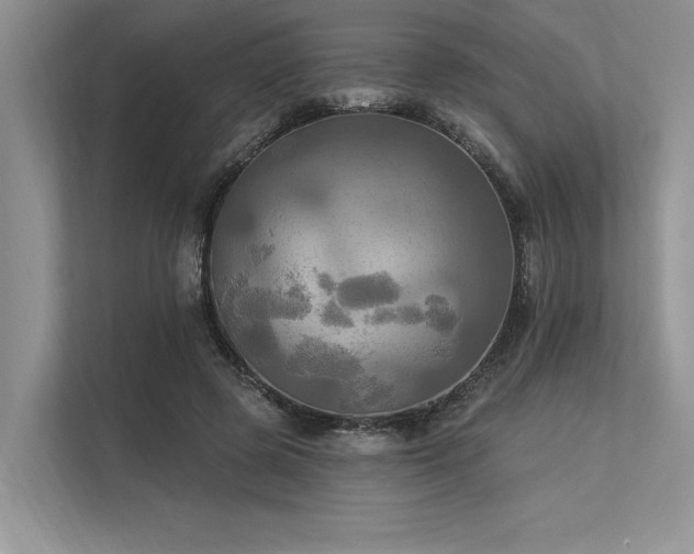 X0000113340545200909221125