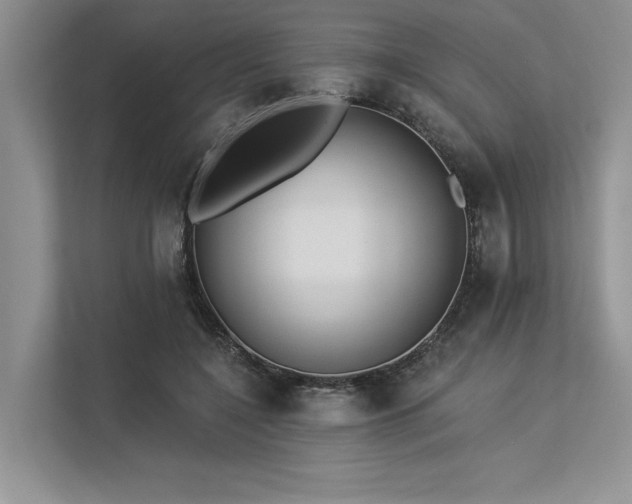 X0000113340548200909221125