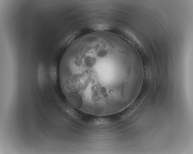 X0000113340549200909221125