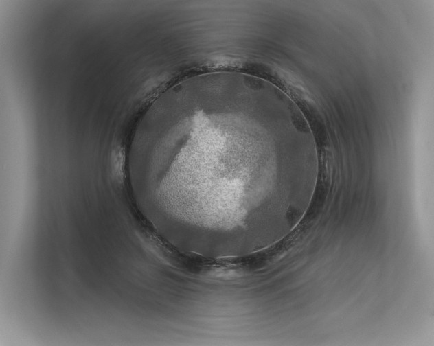 X0000113340550200909221125