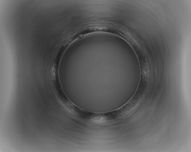 X0000113340551200909221125