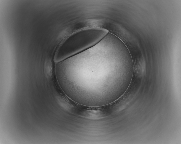 X0000113340552200909221126