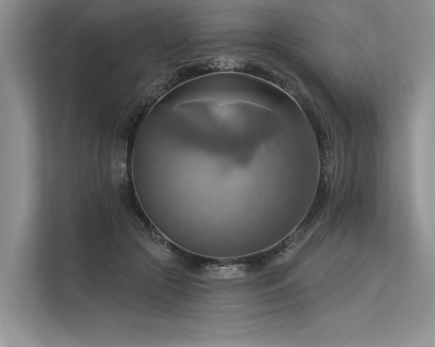 X0000113340553200909221126