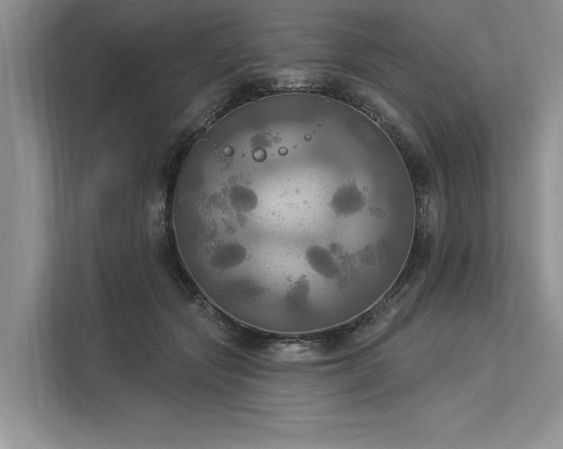 X0000113340557200909221126