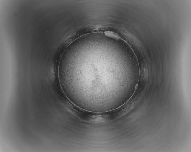 X0000113340558200909221126