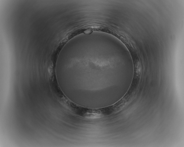 X0000113340559200909221126