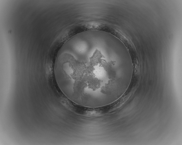 X0000113340561200909221126