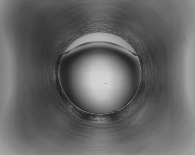 X0000113340562200909221126