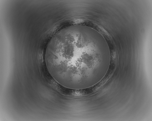 X0000113340565200909221126