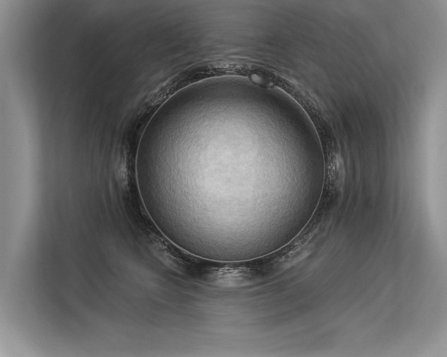 X0000113340566200909221126