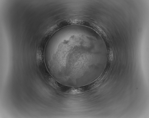 X0000113340569200909221126