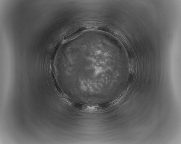 X0000113340573200909221126