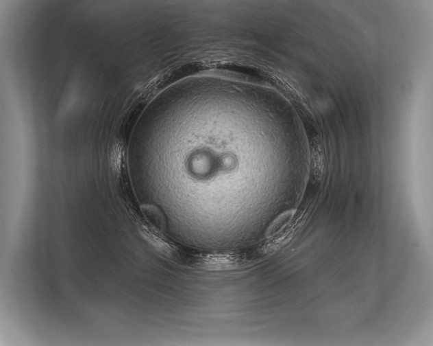 X0000113340574200909221126