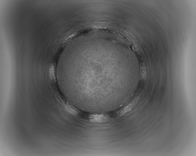 X0000113340575200909221126