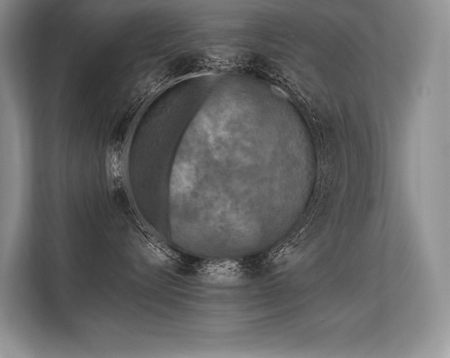 X0000113340576200909221126