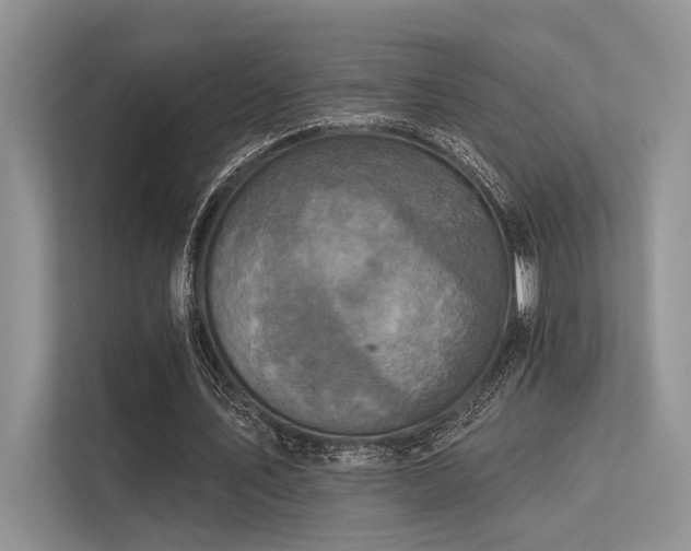 X0000113340579200909221125