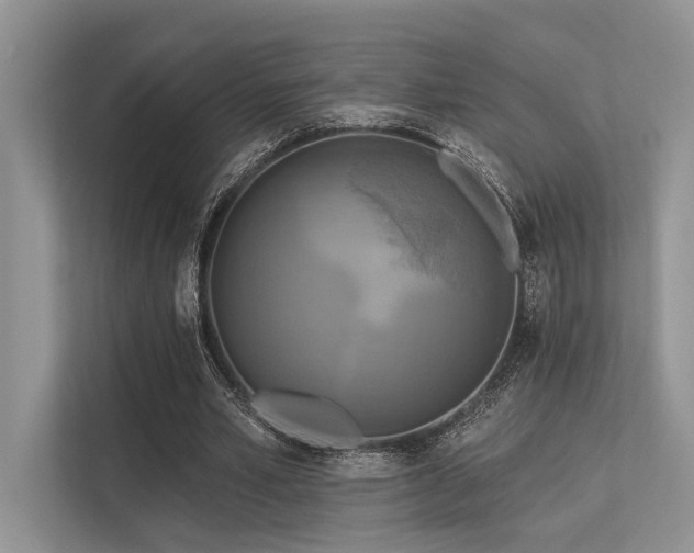 X0000113340581200909221125