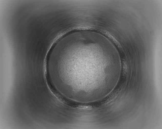 X0000113340582200909221125