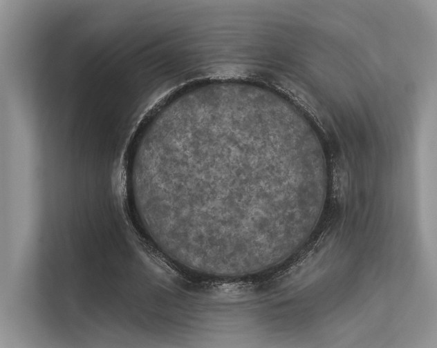 X0000113340584200909221125