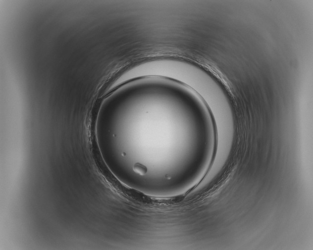 X0000113340585200909221125