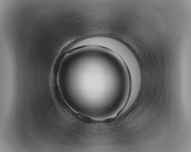 X0000113340587200909221125