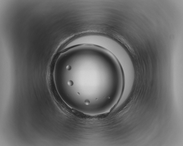 X0000113340588200909221125