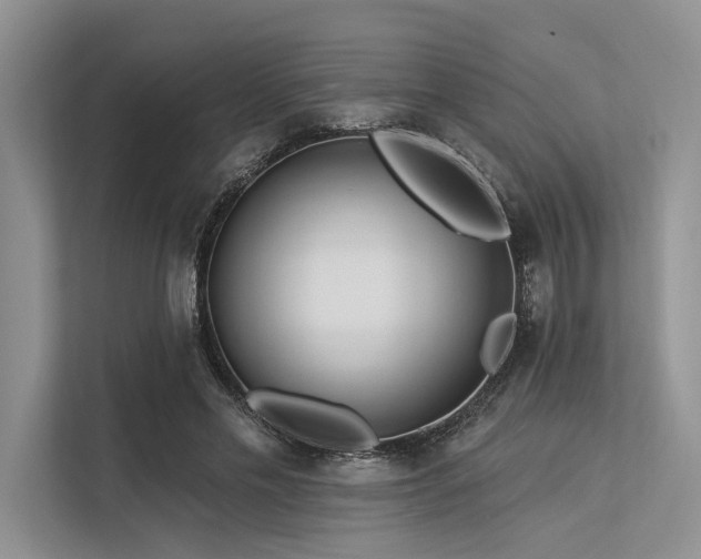 X0000113340589200909221125