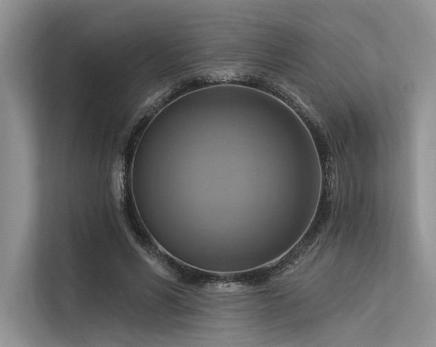 X0000113340590200909221125