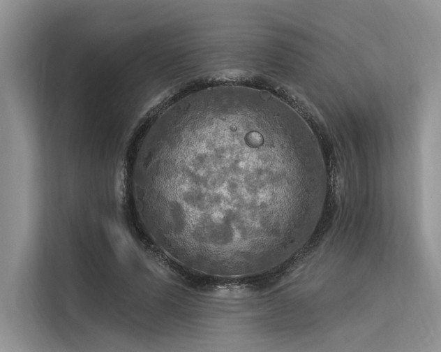 X0000113340591200909221125