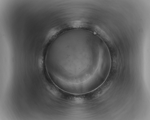 X0000113340592200909221125