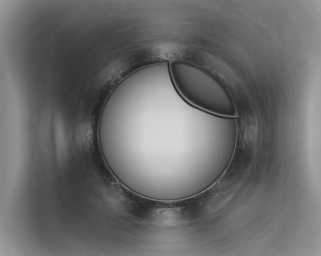 X0000113340595200909221125