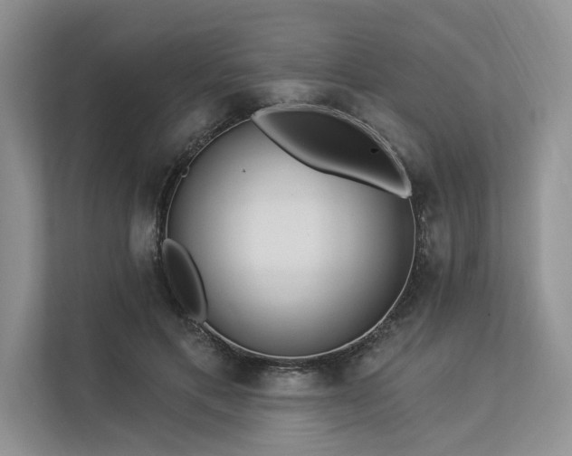 X0000113340597200909221125