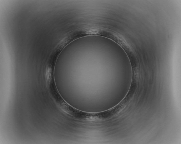 X0000113340598200909221125