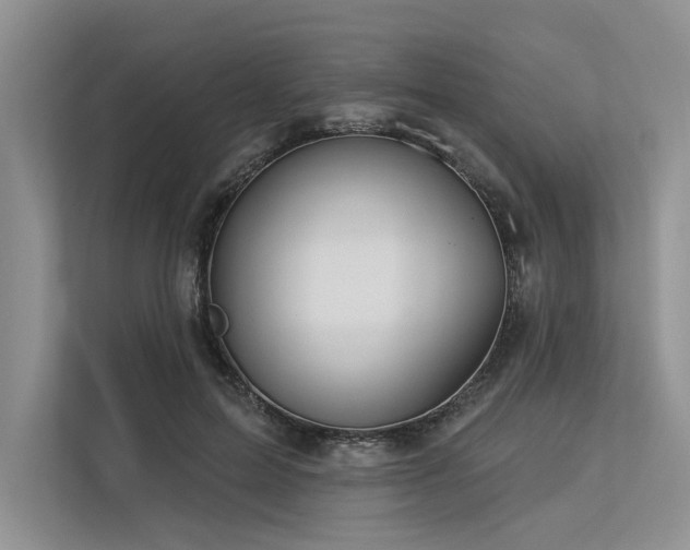 X0000113340599200909221125