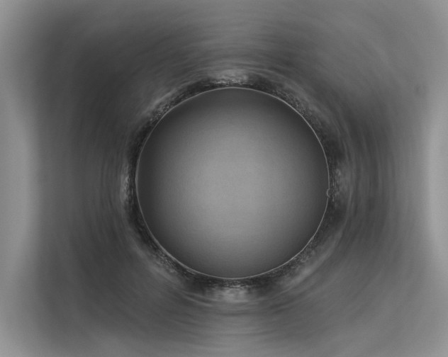 X0000113340600200909221125