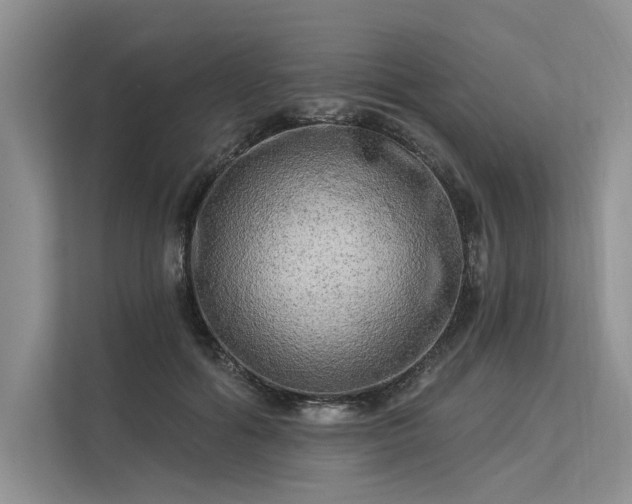 X0000113340602200909221125