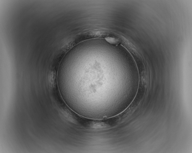 X0000113340605200909221125