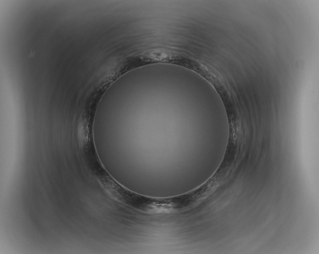 X0000113340606200909221125