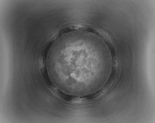 X0000113340607200909221125