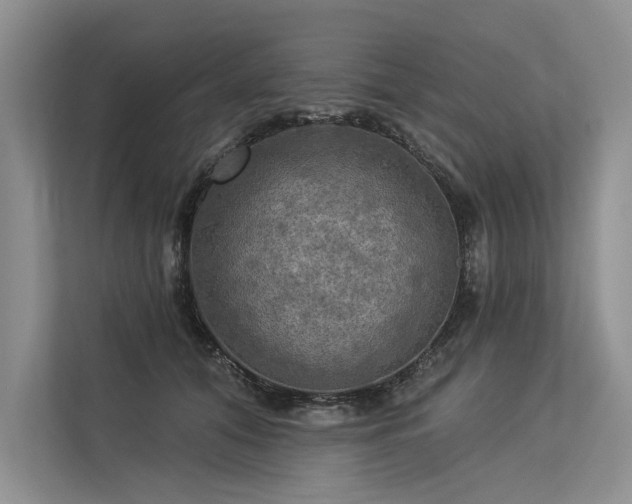 X0000113340608200909221125