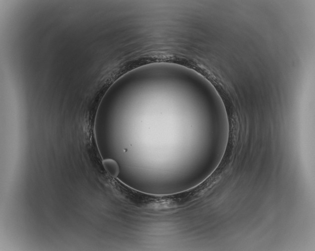 X0000113340609200909221125