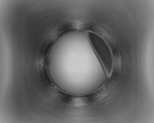 X0000113340611200909221125