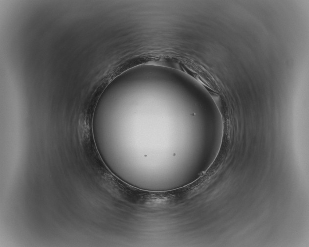 X0000113340613200909221125