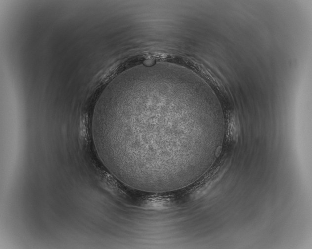 X0000113340616200909221125