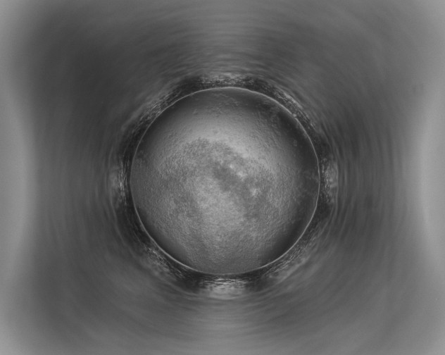 X0000113340617200909221125