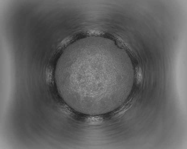 X0000113340619200909221125